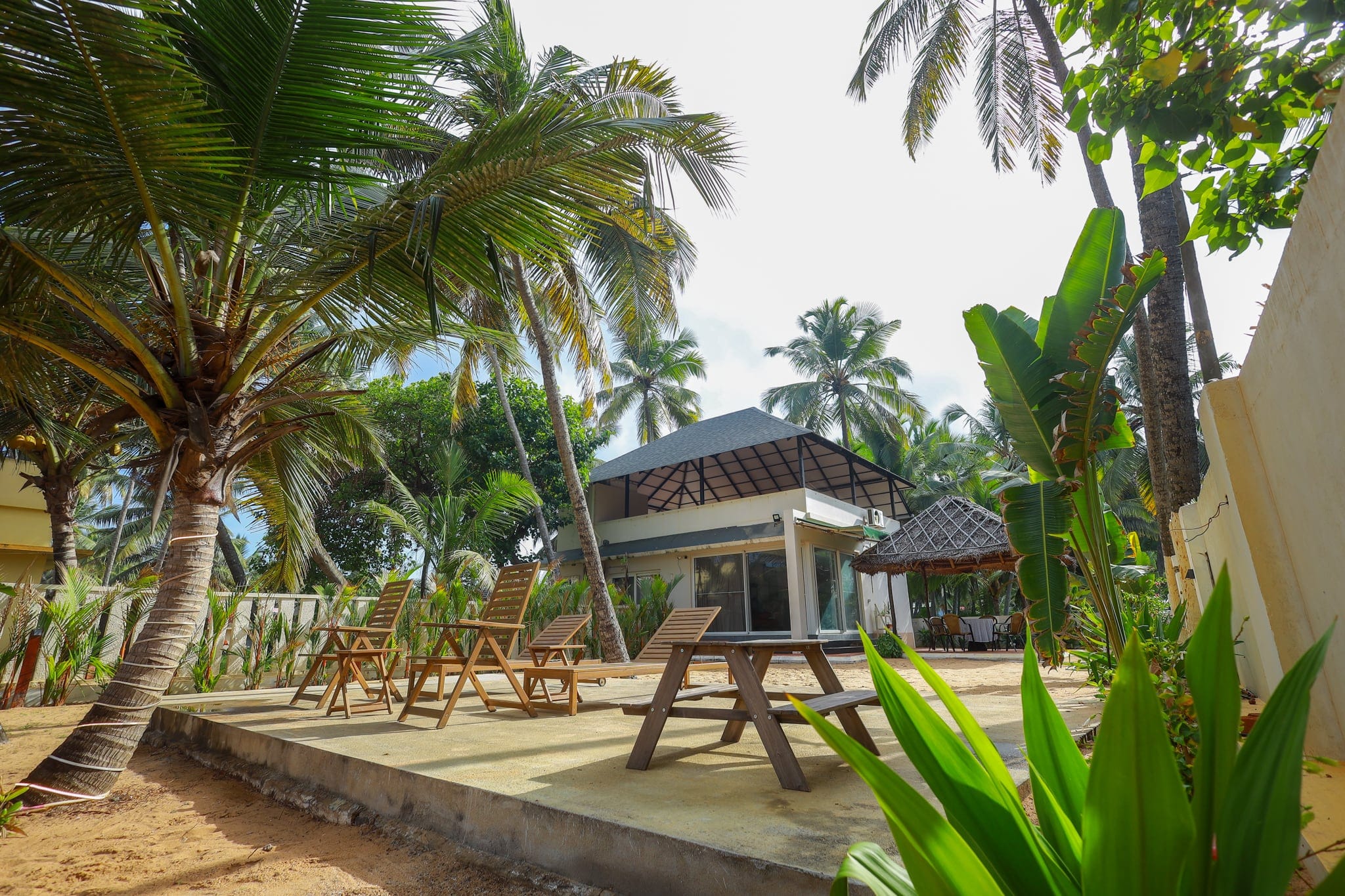 Palms and lawn near Veli beach at Heyday by the Sea, Veli, Thiruvananthapuram, Kerala